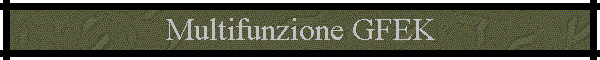 Multifunzione GFEK