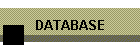 DATABASE