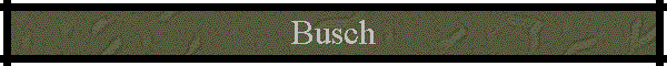 Busch