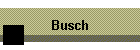 Busch