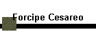 Forcipe Cesareo