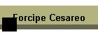 Forcipe Cesareo