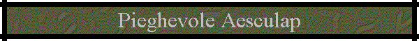 Pieghevole Aesculap
