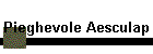 Pieghevole Aesculap
