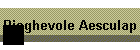 Pieghevole Aesculap
