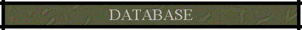 DATABASE