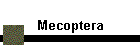 Mecoptera