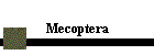 Mecoptera