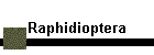 Raphidioptera