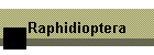 Raphidioptera