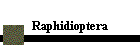 Raphidioptera