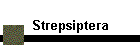 Strepsiptera