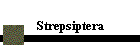Strepsiptera