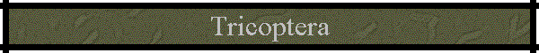 Tricoptera