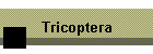 Tricoptera