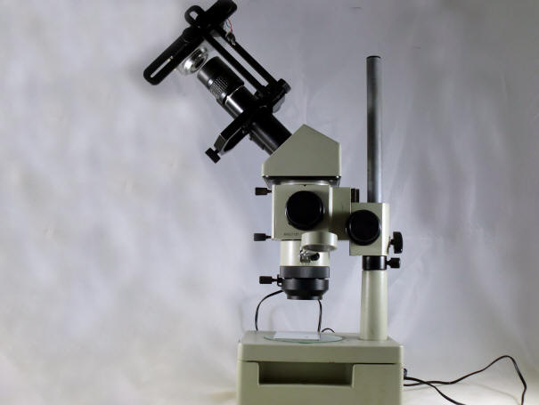 Microscopio con dispositivo fotografico