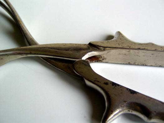 locking Smeille's forceps