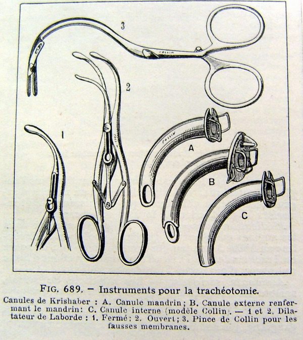 Difterite pinza false membrane catalogo